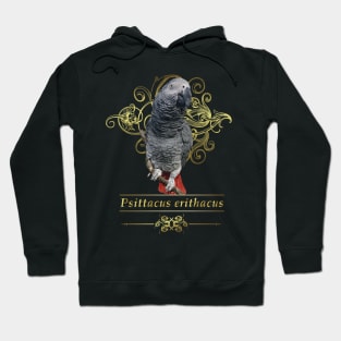 Loro gris Hoodie